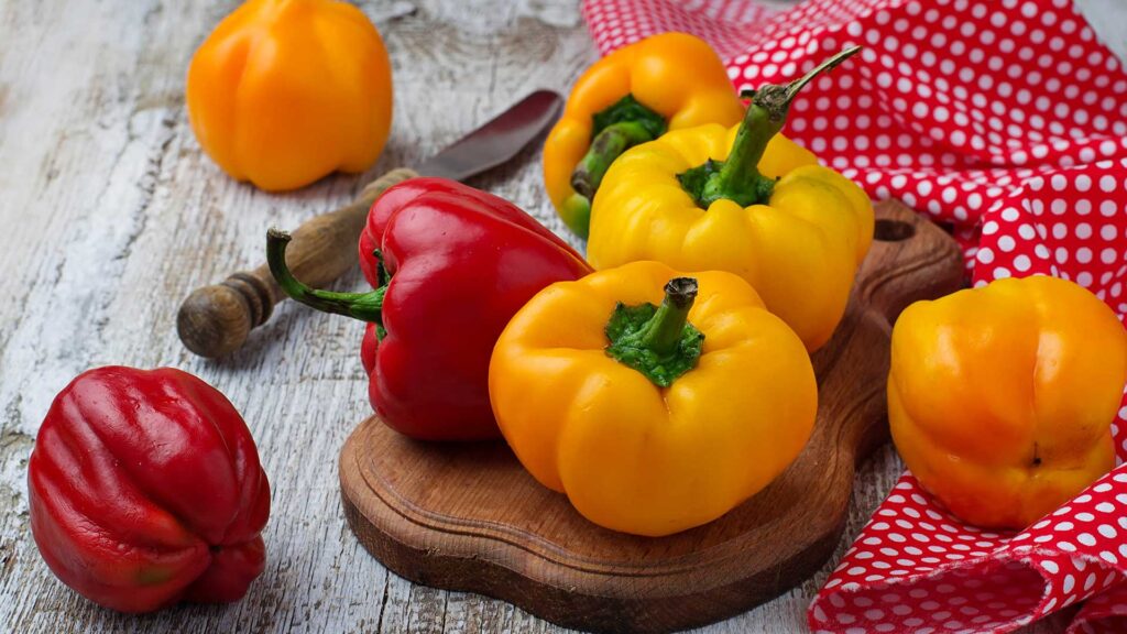 Rote und gelbe Paprika neben Letscho für eine klassische Soljanka